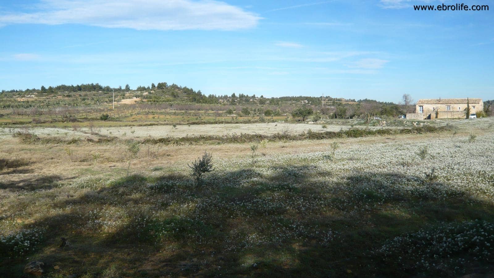 Finca/Landehus til salg i Cretas - € 26.000 (Ref: 5742922)
