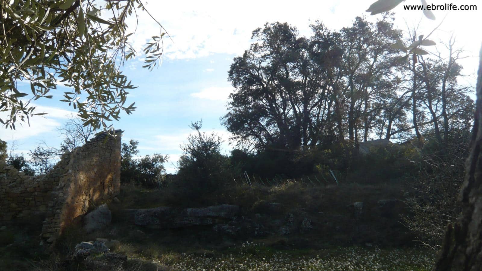 Finca/Landehus til salg i Cretas - € 26.000 (Ref: 5742922)