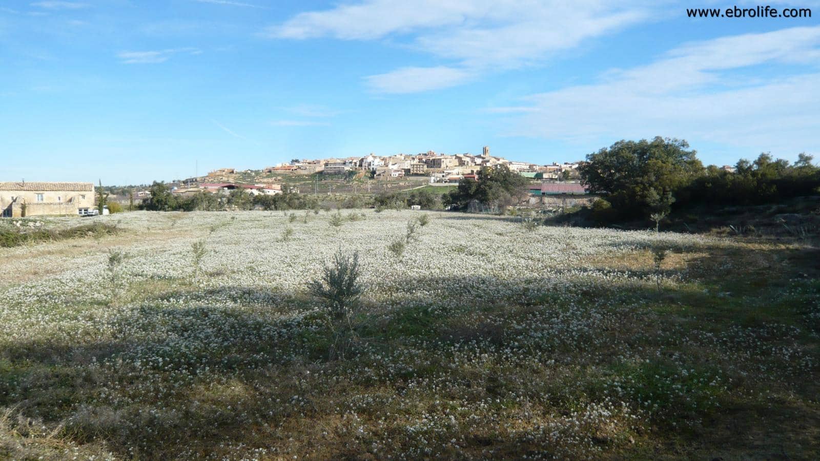 Finca/Landehus til salg i Cretas - € 26.000 (Ref: 5742922)