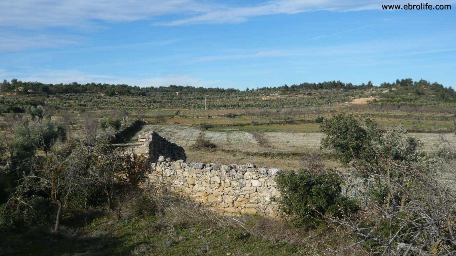 Finca/Landehus til salg i Cretas - € 26.000 (Ref: 5742922)