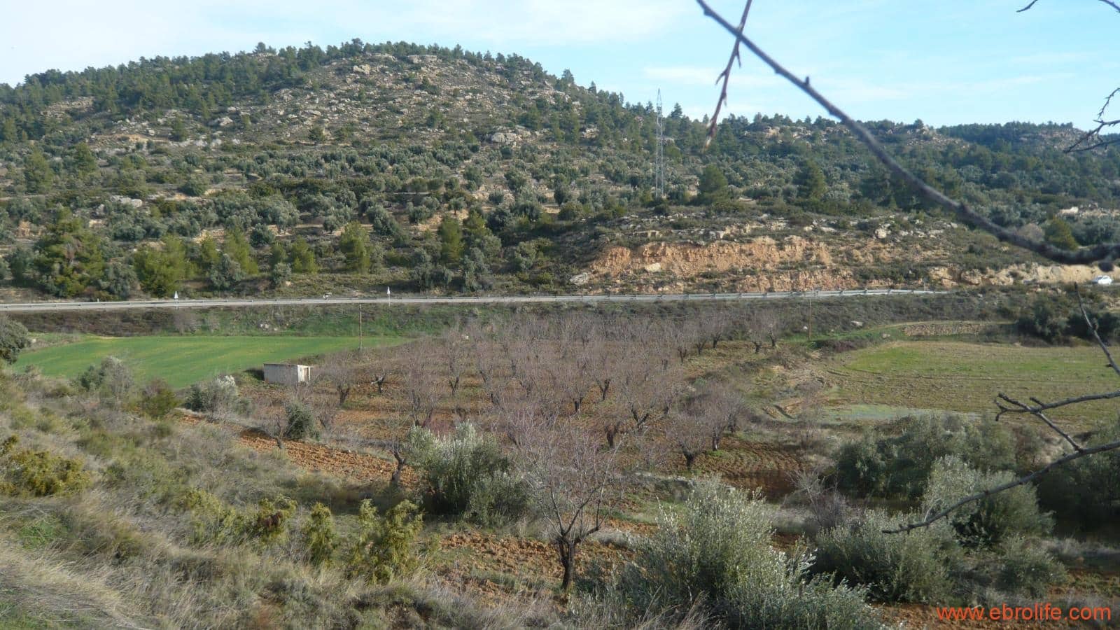 Finca/Casa di Campagna in vendita in La Fresneda - 39.000 € (Rif: 5935983)