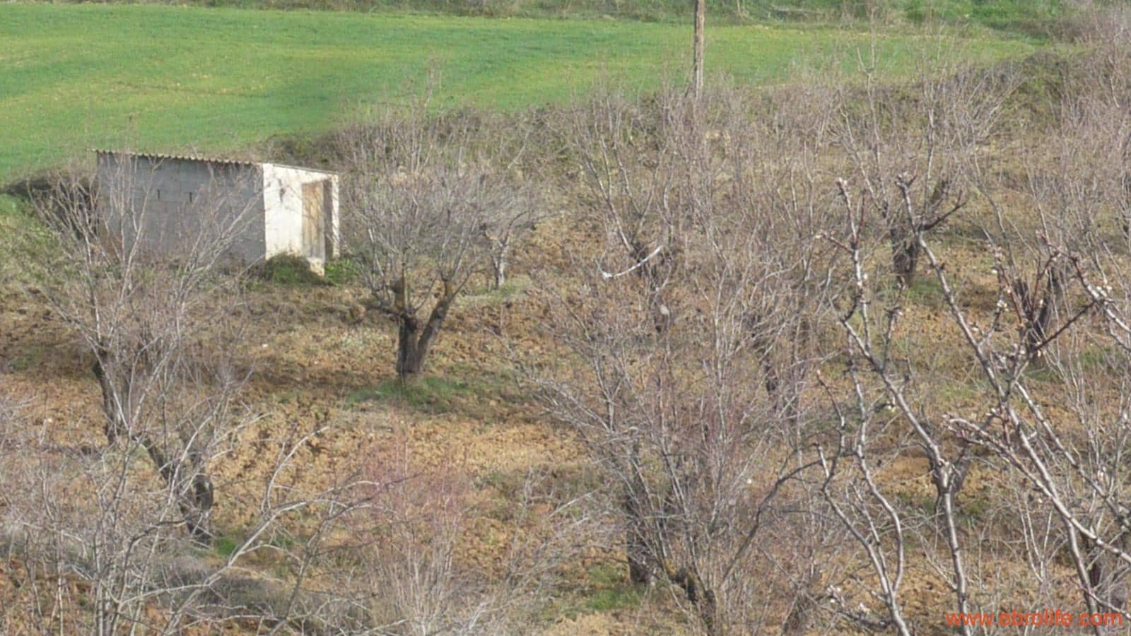 Finca/Casa di Campagna in vendita in La Fresneda - 39.000 € (Rif: 5935983)