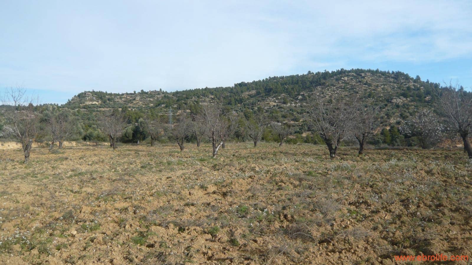 Finca/Casa di Campagna in vendita in La Fresneda - 39.000 € (Rif: 5935983)