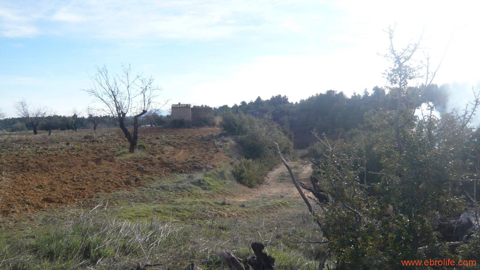 Finca/Casa di Campagna in vendita in La Fresneda - 39.000 € (Rif: 5935983)