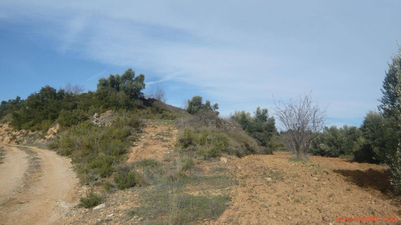 Finca/Casa di Campagna in vendita in La Fresneda - 39.000 € (Rif: 5935983)