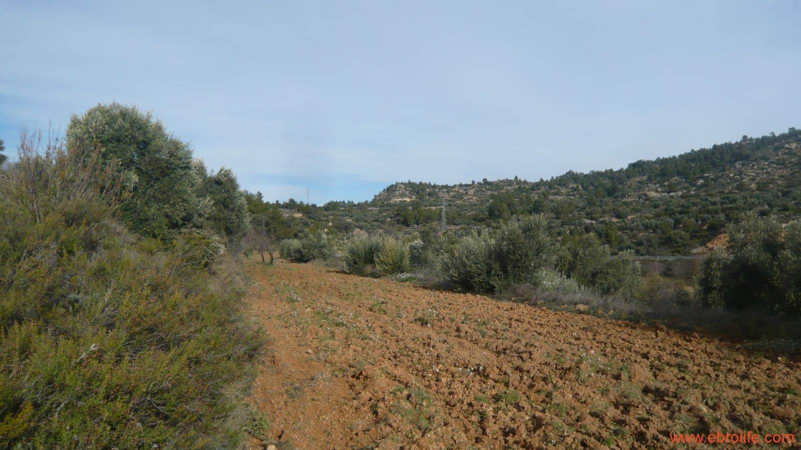 Finca/Casa di Campagna in vendita in La Fresneda - 39.000 € (Rif: 5935983)