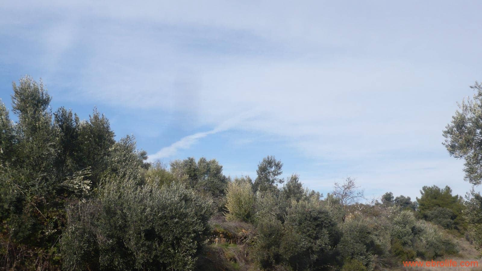 Finca/Casa di Campagna in vendita in La Fresneda - 39.000 € (Rif: 5935983)