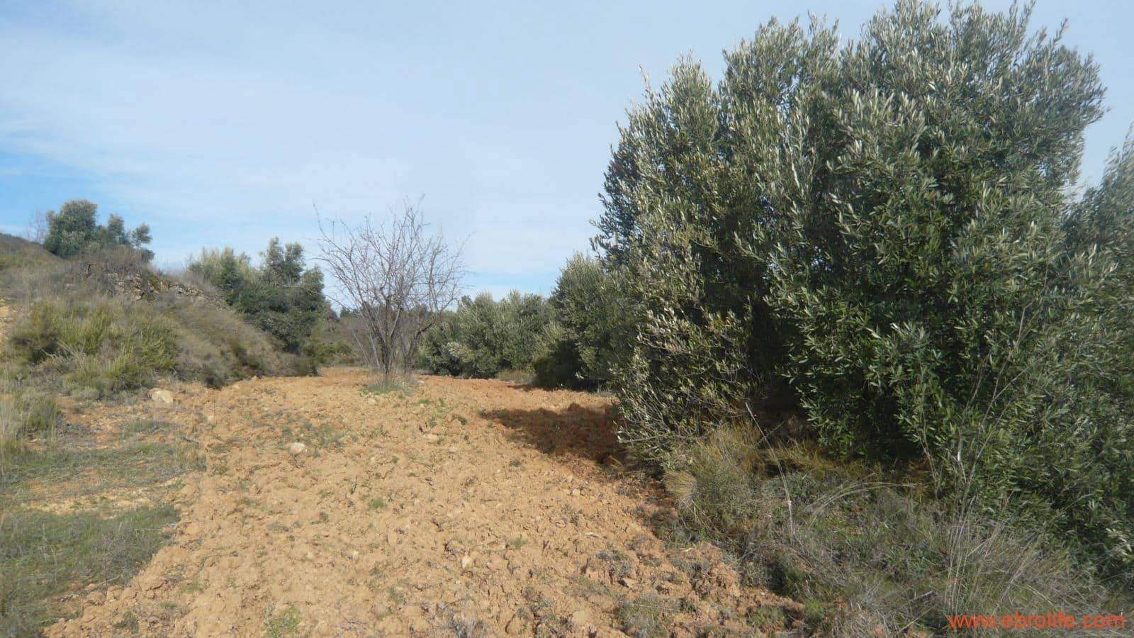 Finca/Casa di Campagna in vendita in La Fresneda - 39.000 € (Rif: 5935983)