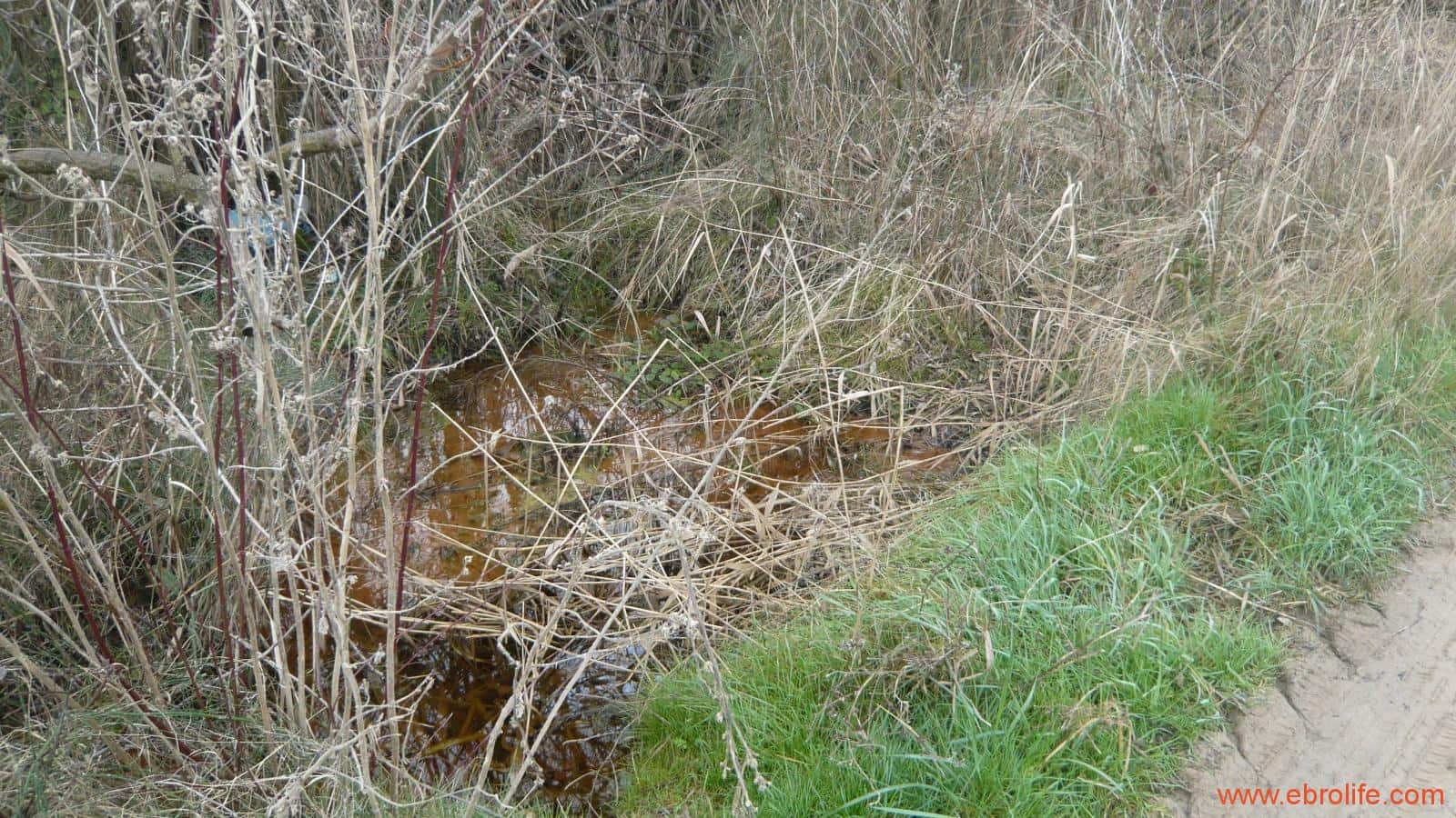 Finca/Casa di Campagna in vendita in La Fresneda - 39.000 € (Rif: 5935983)