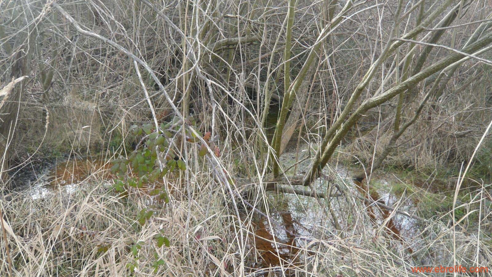 Finca/Casa di Campagna in vendita in La Fresneda - 39.000 € (Rif: 5935983)