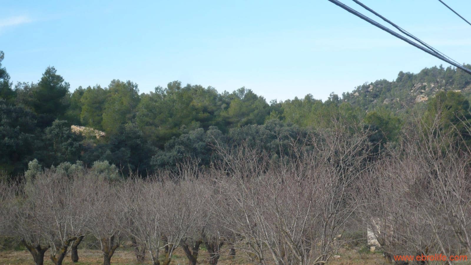 Finca/Casa di Campagna in vendita in La Fresneda - 39.000 € (Rif: 5935983)