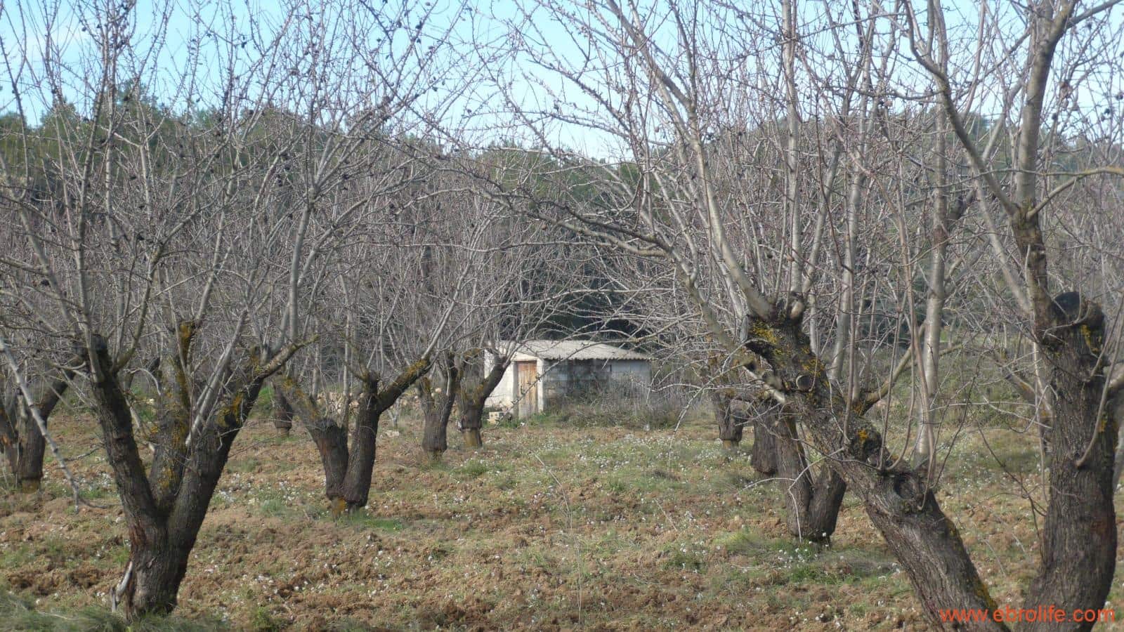 Finca/Casa di Campagna in vendita in La Fresneda - 39.000 € (Rif: 5935983)