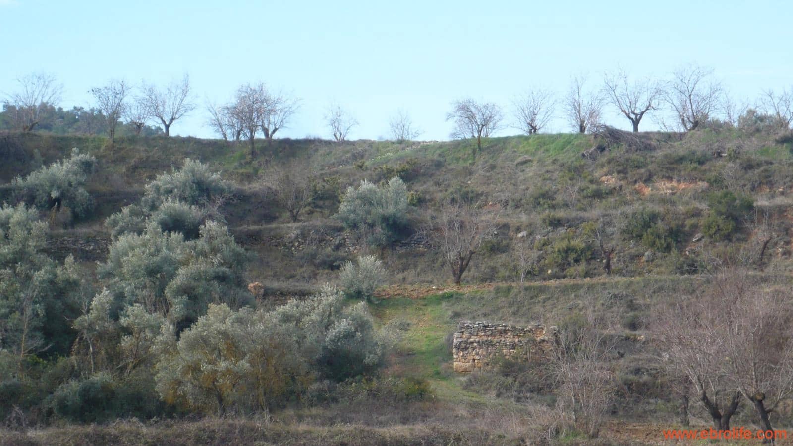 Finca/Casa di Campagna in vendita in La Fresneda - 39.000 € (Rif: 5935983)