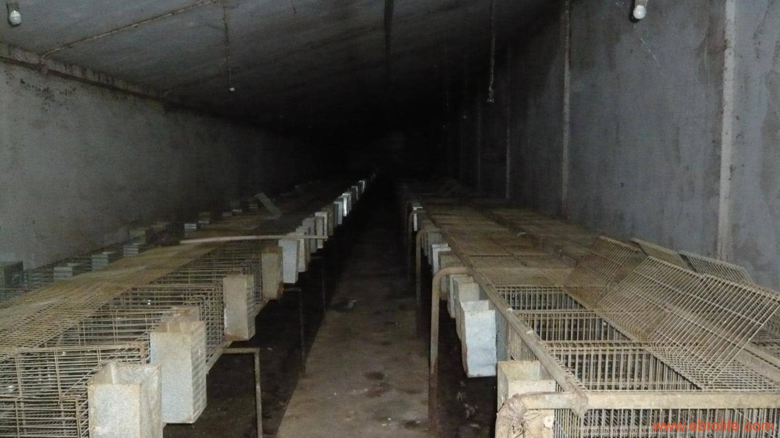 1 soveværelse Finca/Landehus til salg i Maella - € 109.000 (Ref: 5986318)