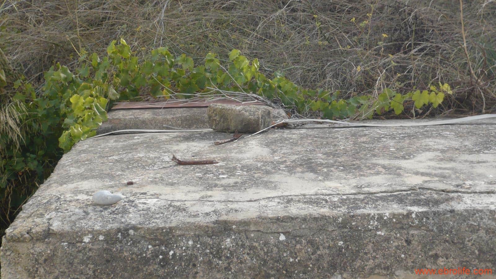 1 soveværelse Finca/Landehus til salg i Maella - € 109.000 (Ref: 5986318)