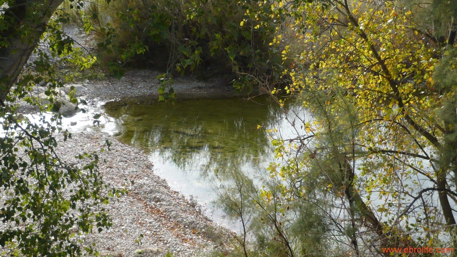 1 soveværelse Finca/Landehus til salg i Maella - € 109.000 (Ref: 5986318)