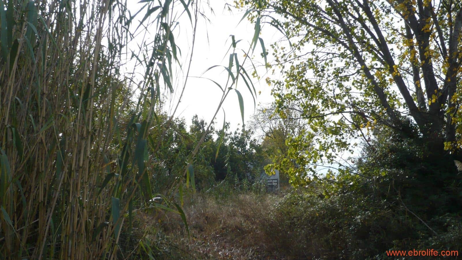 1 soveværelse Finca/Landehus til salg i Maella - € 109.000 (Ref: 5986318)