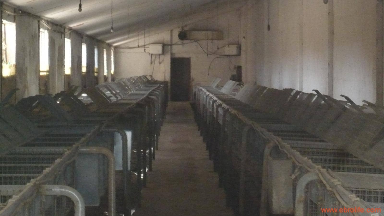 1 soveværelse Finca/Landehus til salg i Maella - € 109.000 (Ref: 5986318)