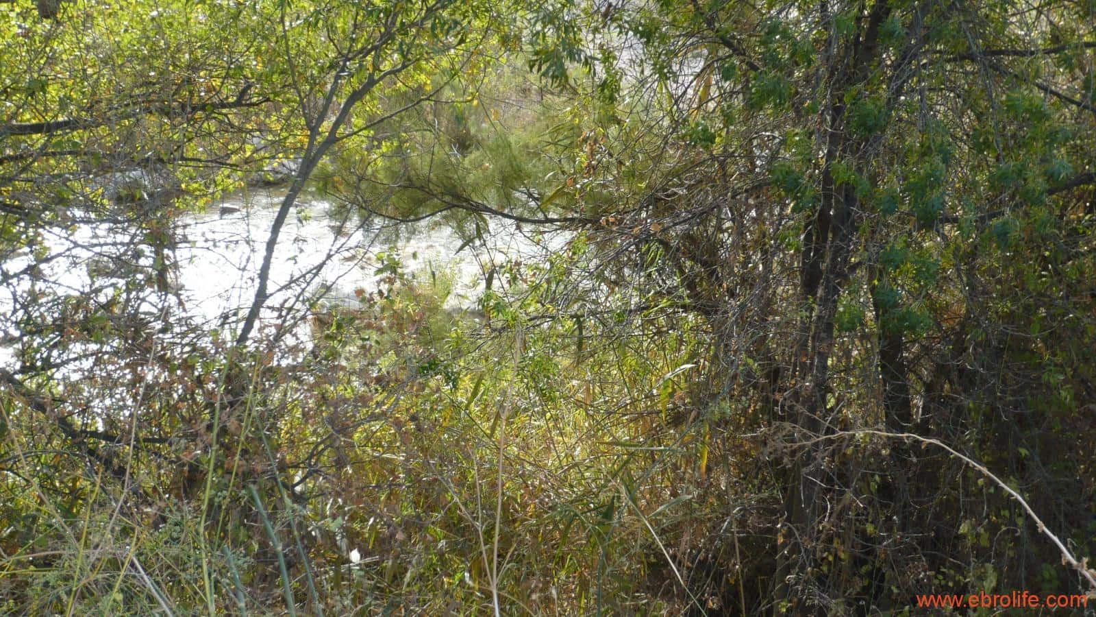 1 soveværelse Finca/Landehus til salg i Maella - € 109.000 (Ref: 5986318)