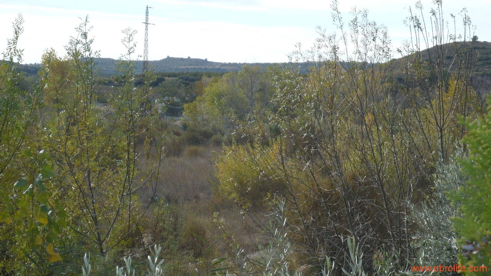 1 soveværelse Finca/Landehus til salg i Maella - € 109.000 (Ref: 5986318)