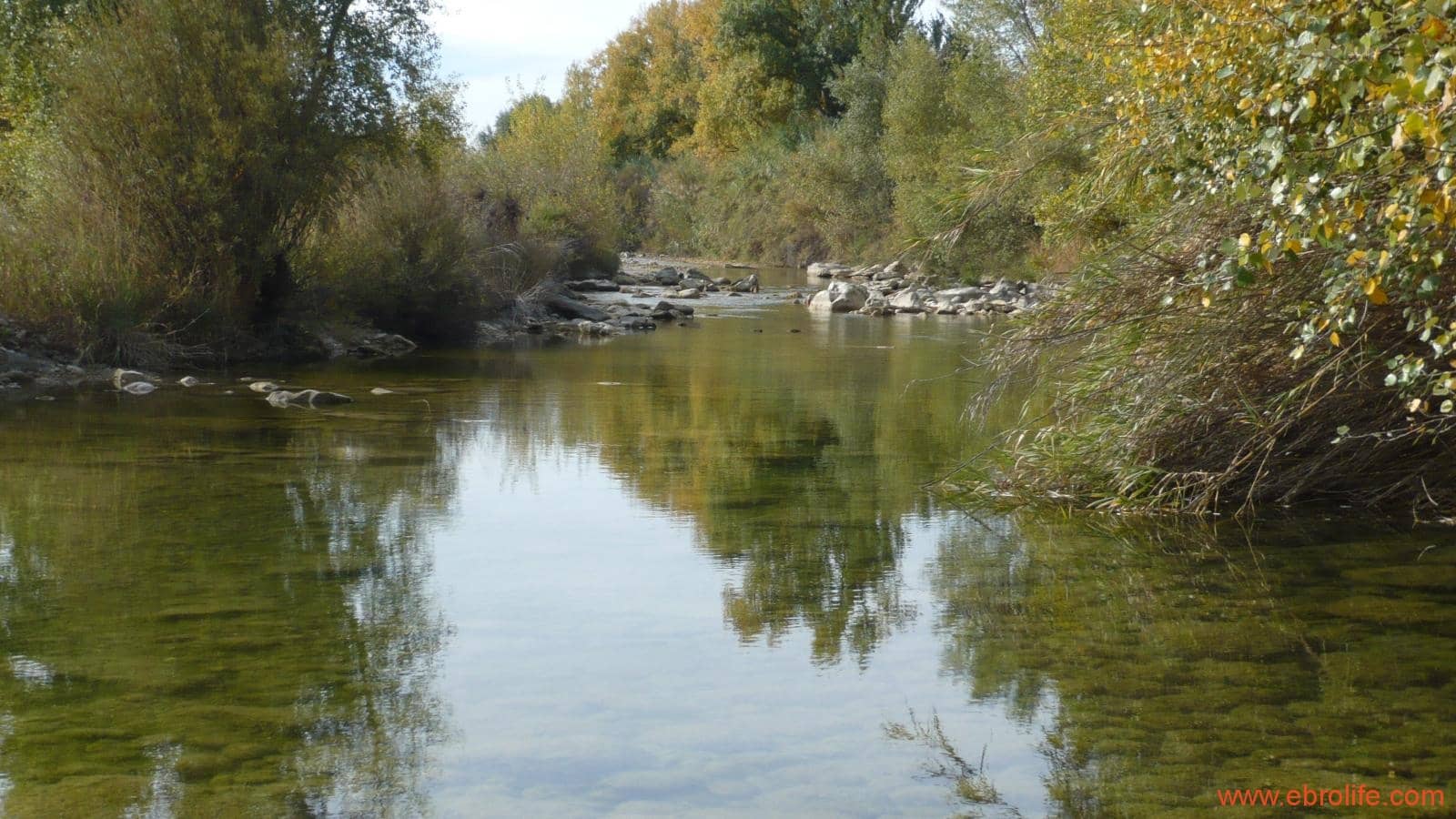 1 soveværelse Finca/Landehus til salg i Maella - € 109.000 (Ref: 5986318)