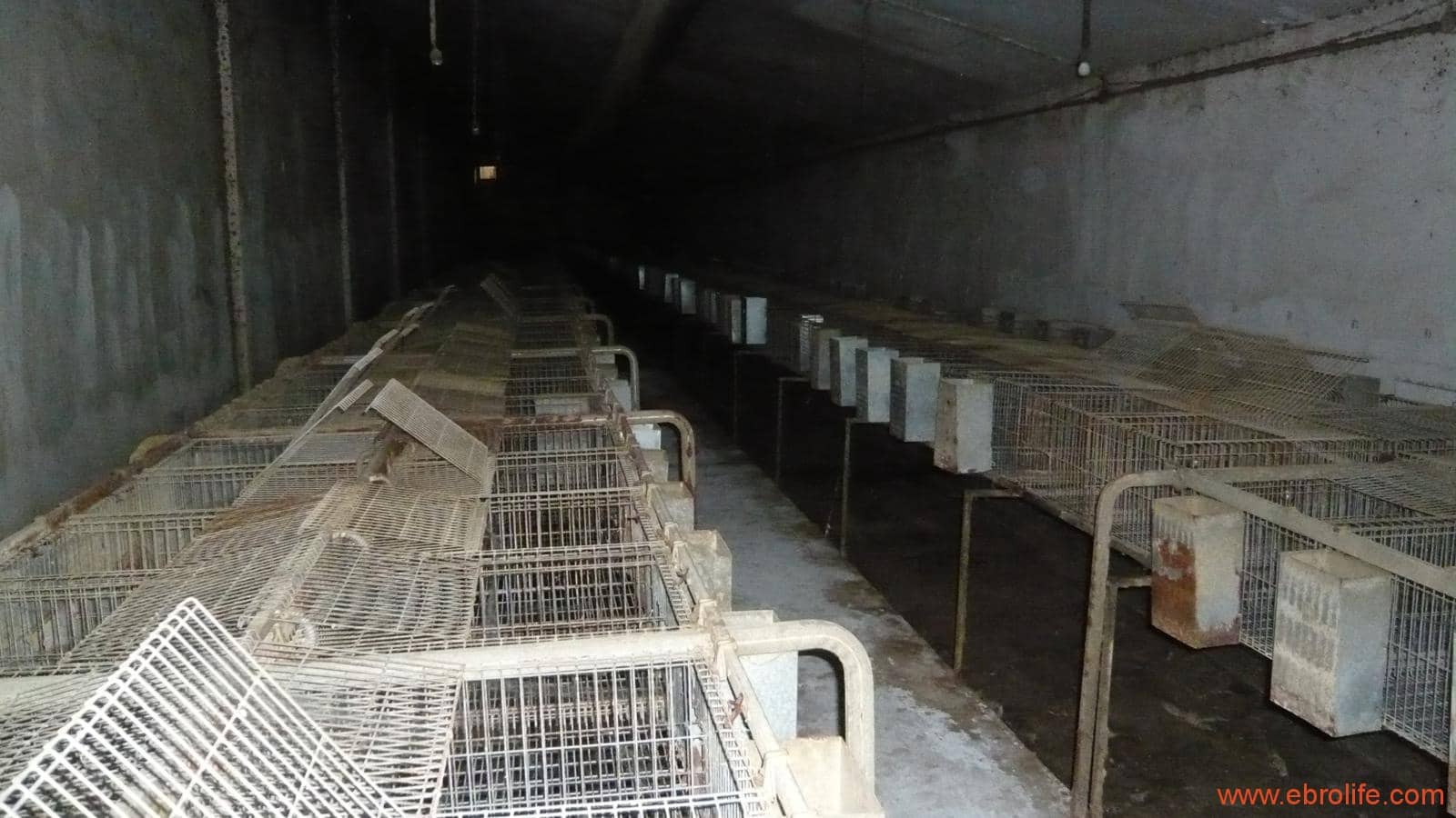 1 soveværelse Finca/Landehus til salg i Maella - € 109.000 (Ref: 5986318)