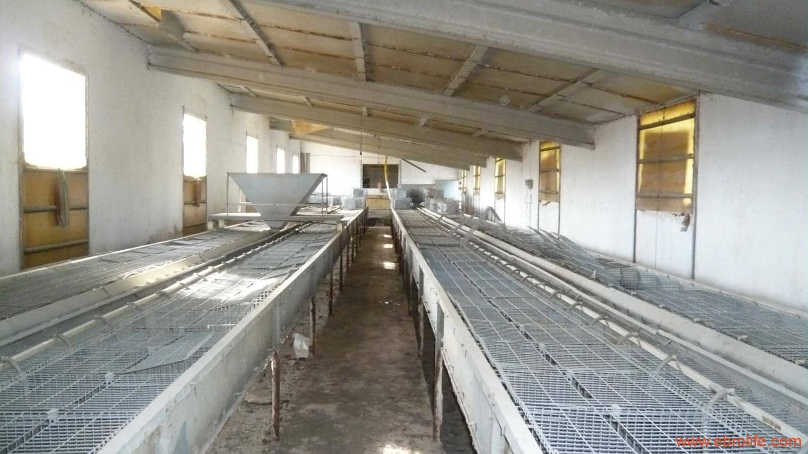 1 soveværelse Finca/Landehus til salg i Maella - € 109.000 (Ref: 5986318)