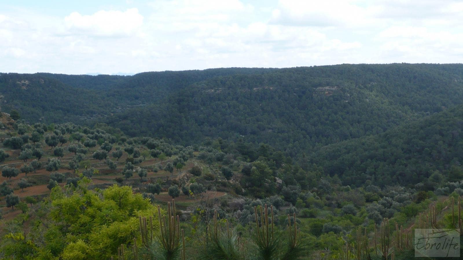 1 soveværelse Finca/Landehus til salg i Fornoles - € 12.000 (Ref: 6086309)