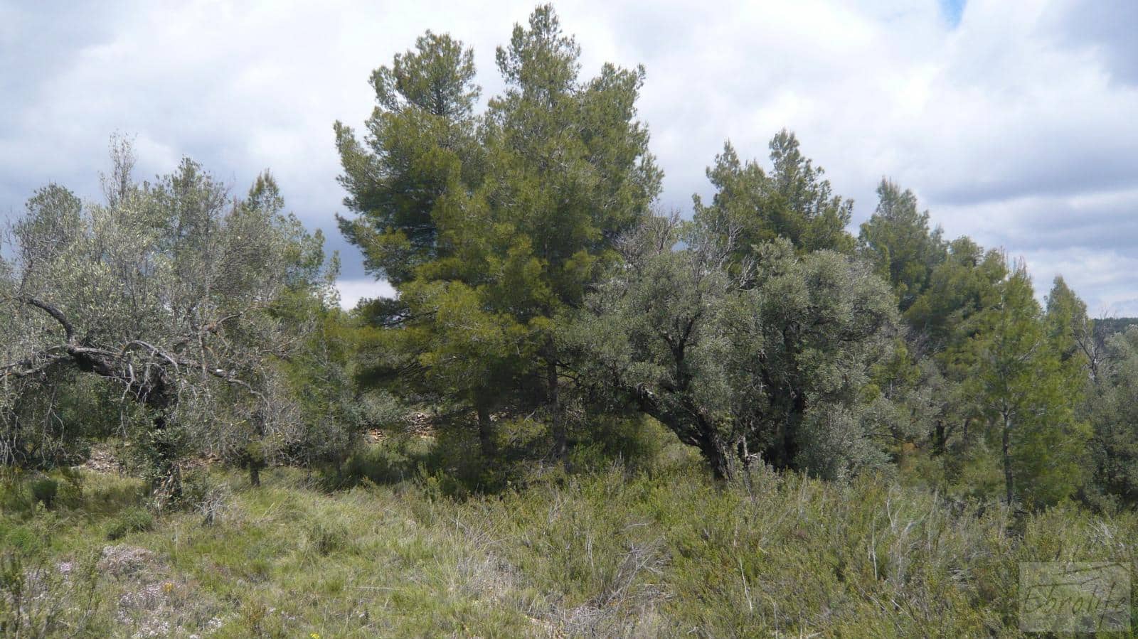 1 soveværelse Finca/Landehus til salg i Fornoles - € 12.000 (Ref: 6086309)