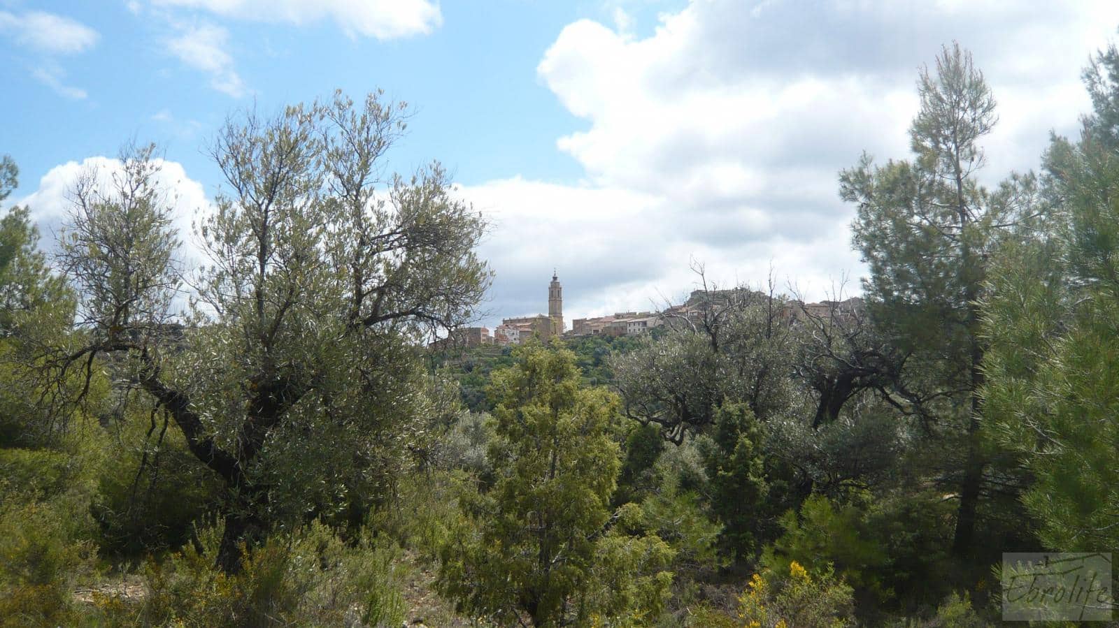 1 soveværelse Finca/Landehus til salg i Fornoles - € 12.000 (Ref: 6086309)