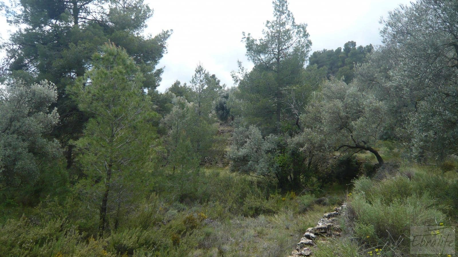 1 soveværelse Finca/Landehus til salg i Fornoles - € 12.000 (Ref: 6086309)