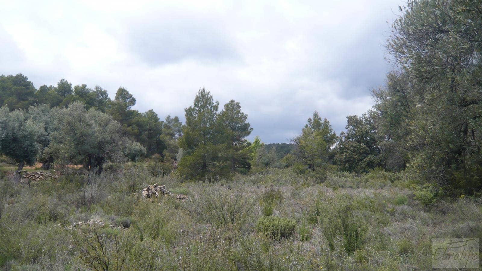 1 soveværelse Finca/Landehus til salg i Fornoles - € 12.000 (Ref: 6086309)