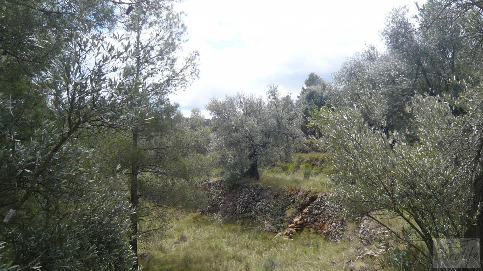 1 soveværelse Finca/Landehus til salg i Fornoles - € 12.000 (Ref: 6086309)