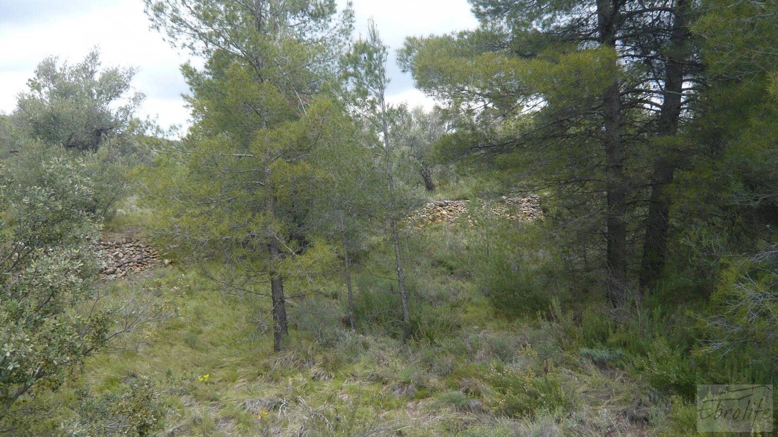 1 soveværelse Finca/Landehus til salg i Fornoles - € 12.000 (Ref: 6086309)