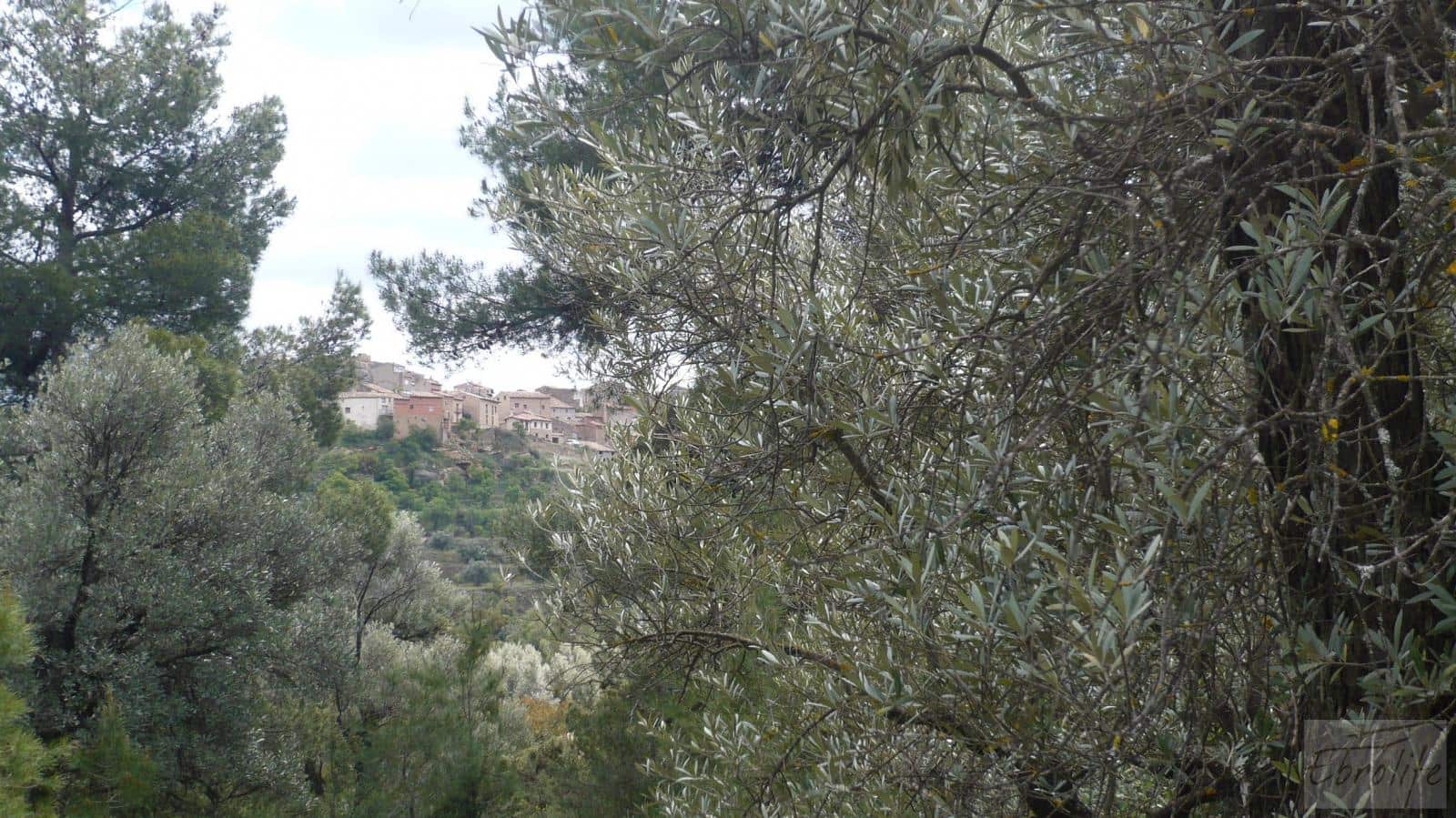 1 soveværelse Finca/Landehus til salg i Fornoles - € 12.000 (Ref: 6086309)