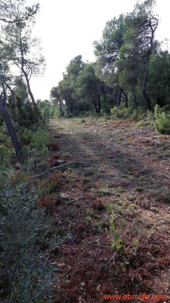 1 camera da letto Finca/Casa di Campagna in vendita in Fornoles - 38.000 € (Rif: 6086309)