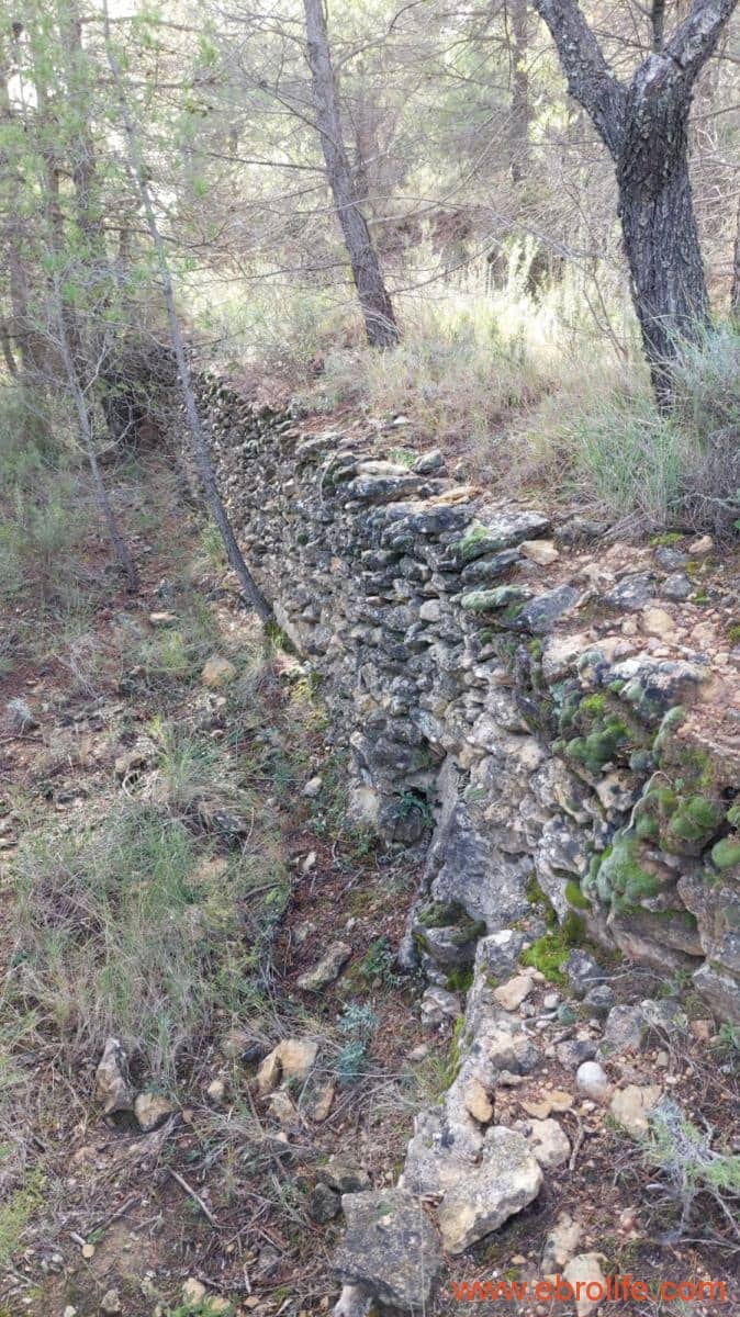 1 camera da letto Finca/Casa di Campagna in vendita in Fornoles - 38.000 € (Rif: 6086309)