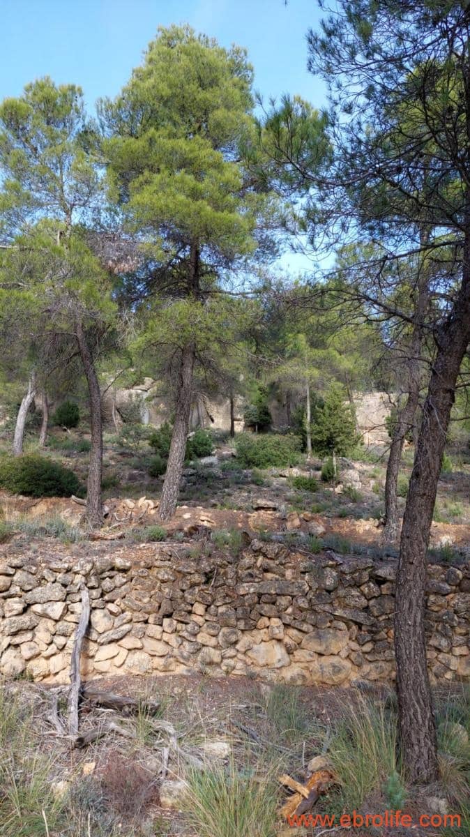 1 camera da letto Finca/Casa di Campagna in vendita in Fornoles - 38.000 € (Rif: 6086309)