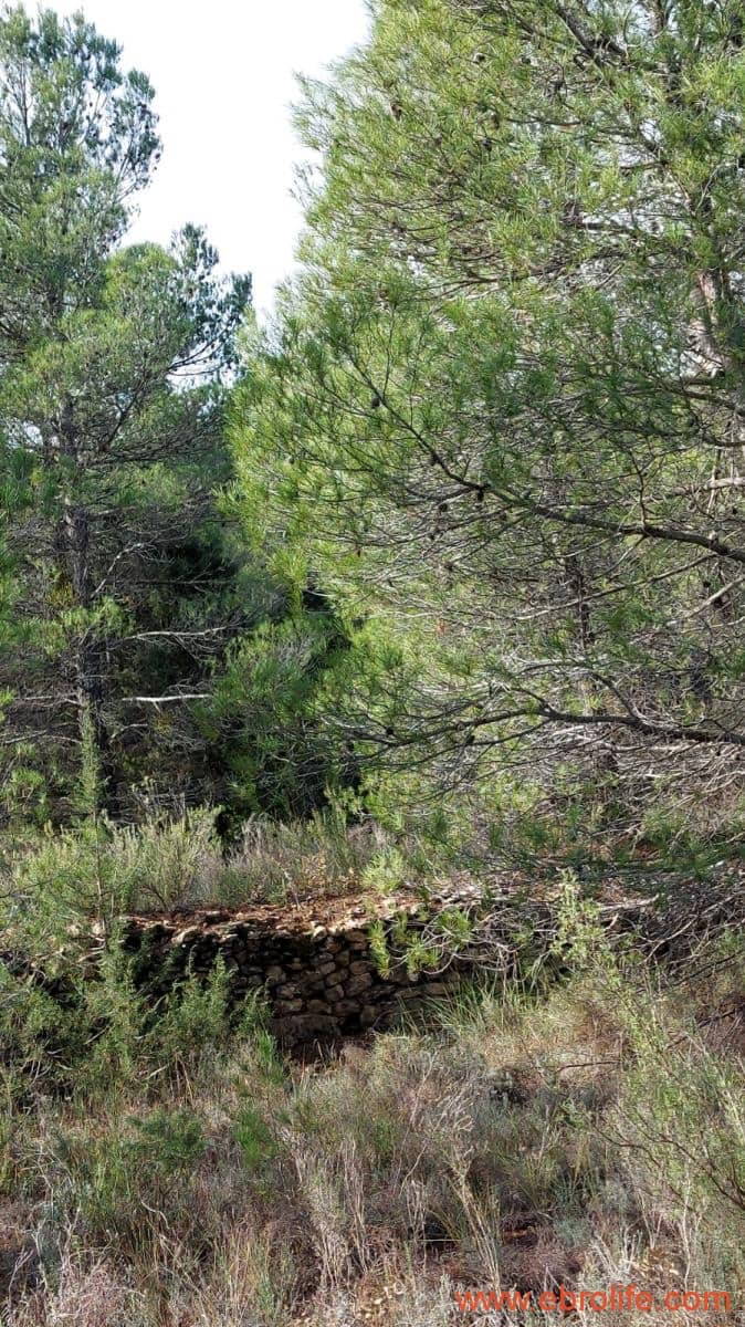 1 camera da letto Finca/Casa di Campagna in vendita in Fornoles - 38.000 € (Rif: 6086309)