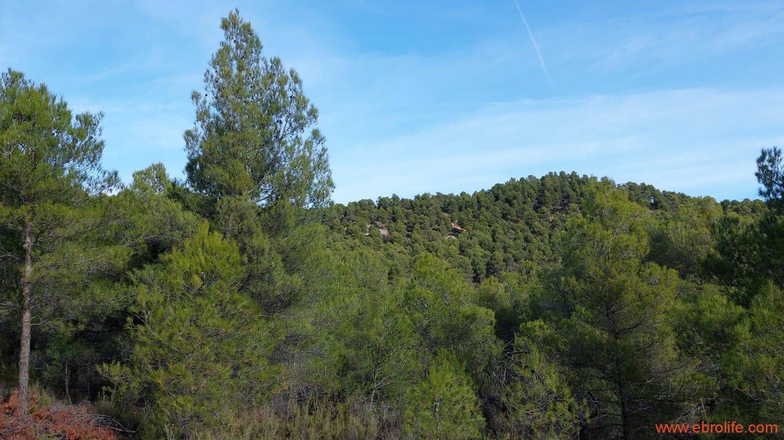 1 camera da letto Finca/Casa di Campagna in vendita in Fornoles - 38.000 € (Rif: 6086309)