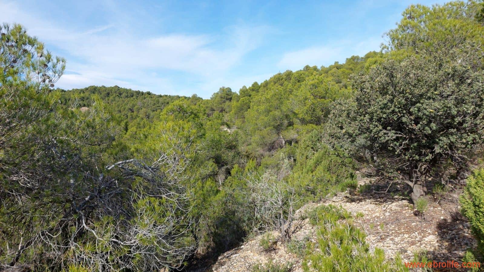 1 camera da letto Finca/Casa di Campagna in vendita in Fornoles - 38.000 € (Rif: 6086309)