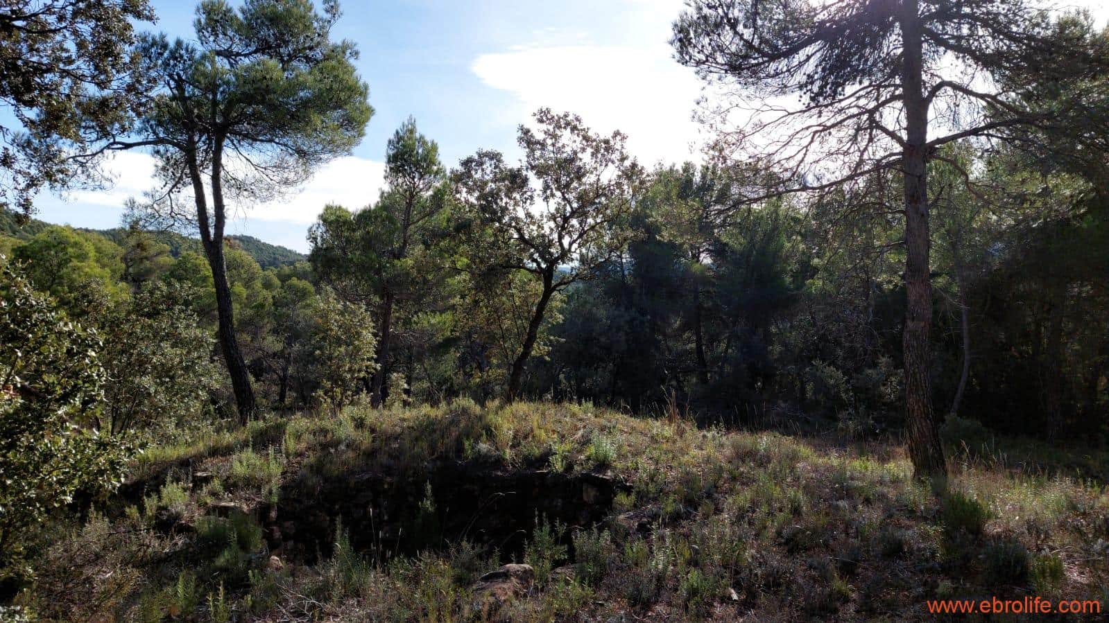 1 camera da letto Finca/Casa di Campagna in vendita in Fornoles - 38.000 € (Rif: 6086309)