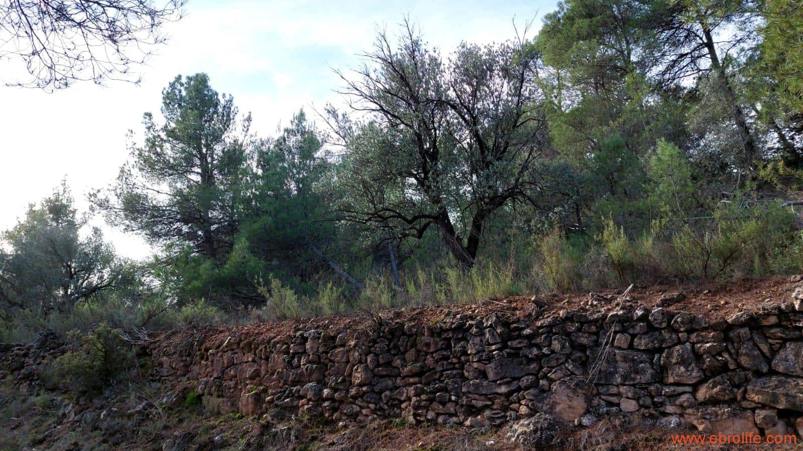 1 camera da letto Finca/Casa di Campagna in vendita in Fornoles - 38.000 € (Rif: 6086309)