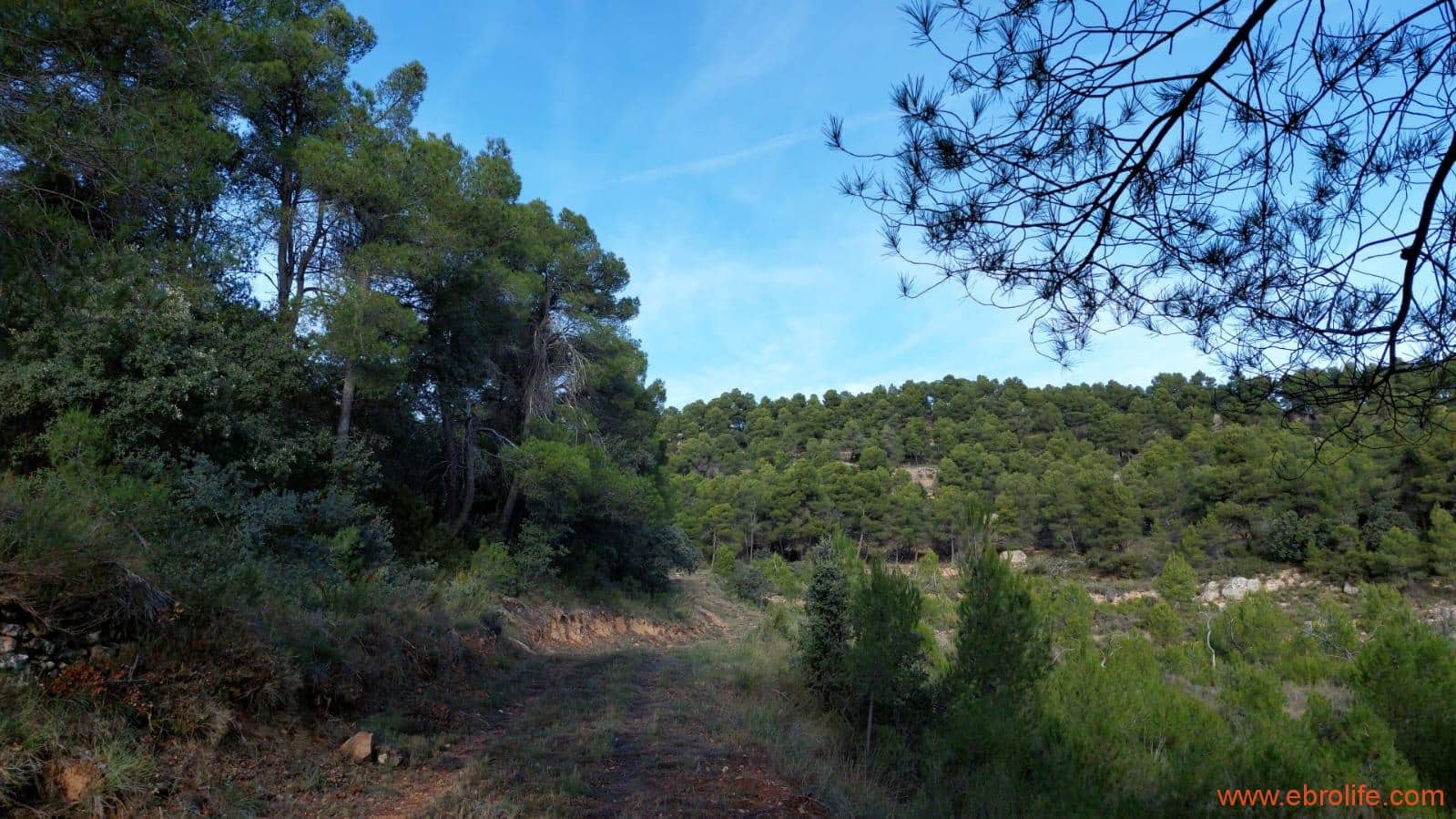 1 camera da letto Finca/Casa di Campagna in vendita in Fornoles - 38.000 € (Rif: 6086309)