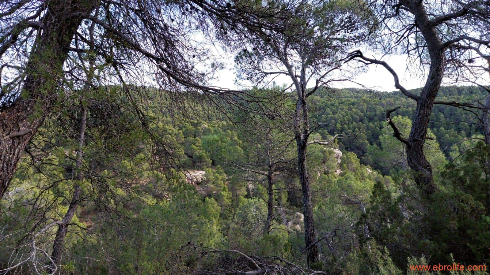 1 camera da letto Finca/Casa di Campagna in vendita in Fornoles - 38.000 € (Rif: 6086309)