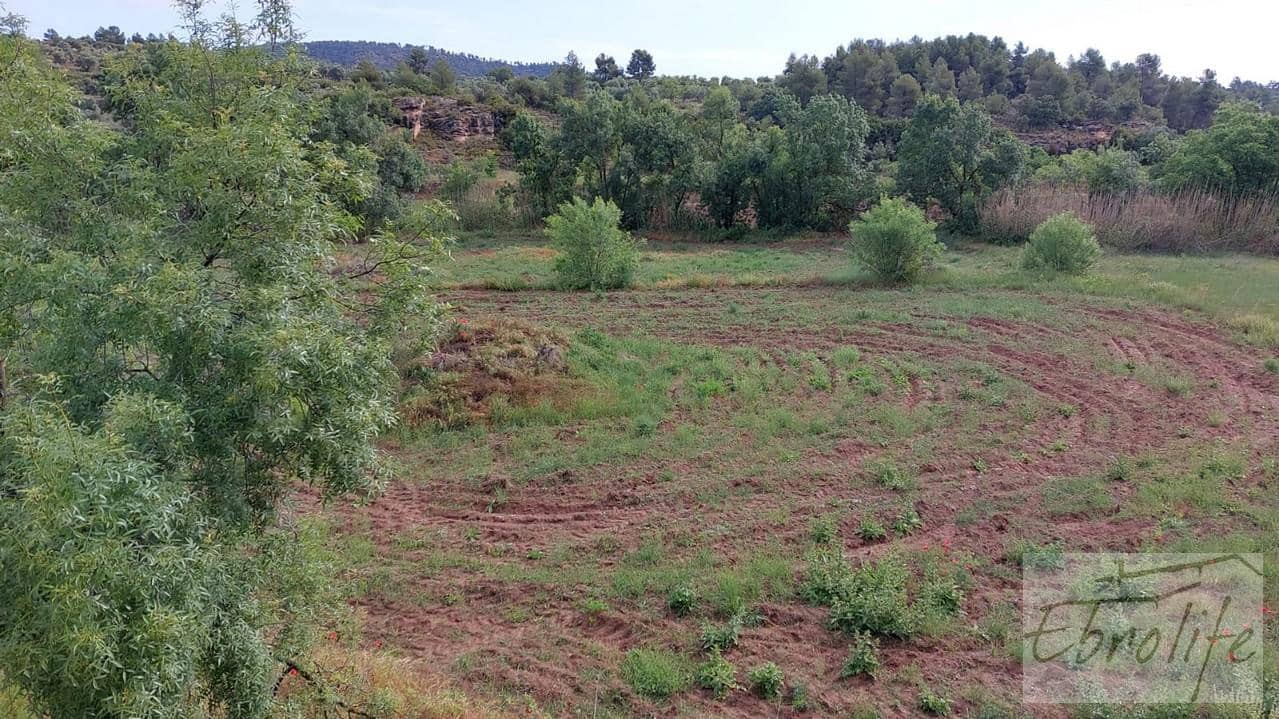 1 camera da letto Finca/Casa di Campagna in vendita in La Fresneda - 30.000 € (Rif: 6209643)