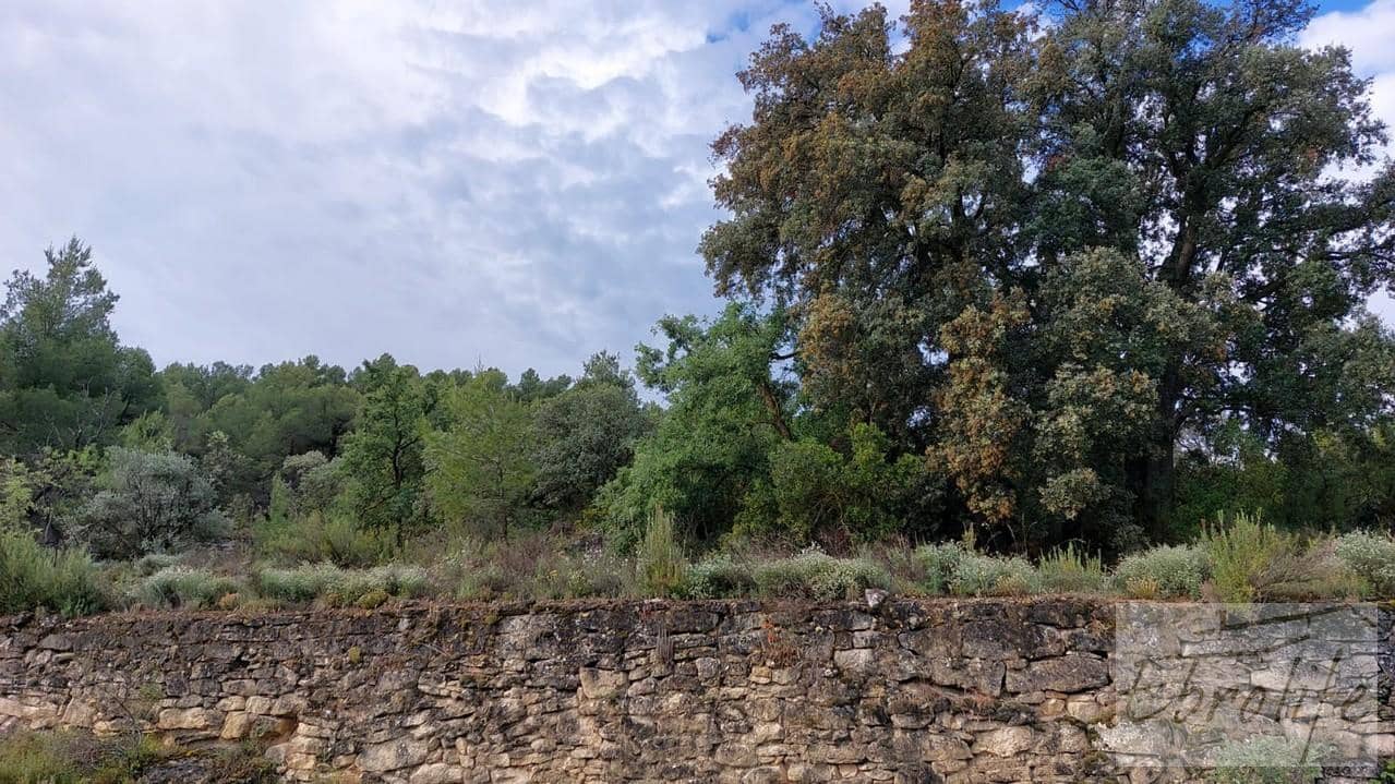 1 camera da letto Finca/Casa di Campagna in vendita in La Fresneda - 30.000 € (Rif: 6209643)