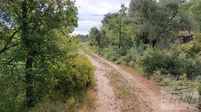 1 camera da letto Finca/Casa di Campagna in vendita in La Fresneda - 30.000 € (Rif: 6209643)