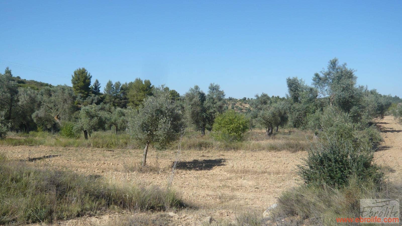 1 soveværelse Finca/Landehus til salg i Calaceite - € 48.000 (Ref: 6209644)