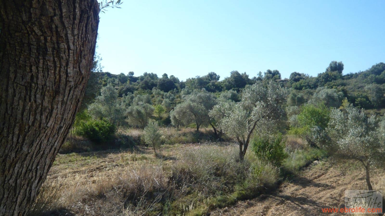 1 soveværelse Finca/Landehus til salg i Calaceite - € 48.000 (Ref: 6209644)